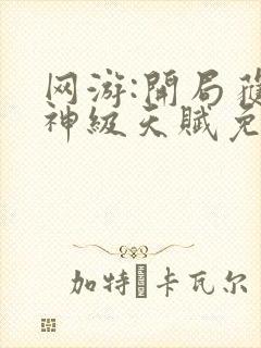 网游:开局获得神级天赋免费在线阅读