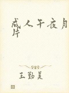 成人午夜月b毛片