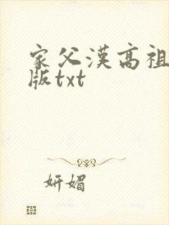 家父汉高祖精准版txt