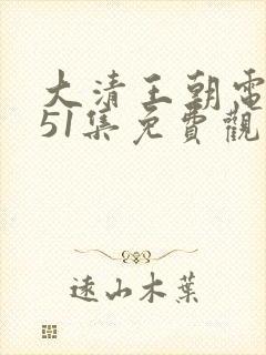 大清王朝电视剧51集免费观看