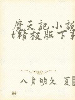 魔天记小说txt精校版下载封面