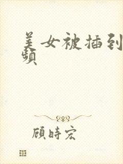 美女被插到爽视频