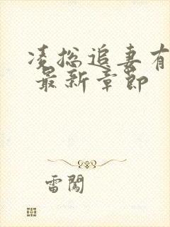 凌总追妻有点甜 最新章节