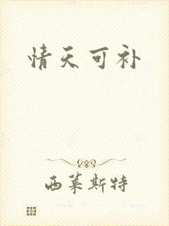 情天可补封面