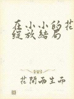 在小小的花蕾处绽放结局