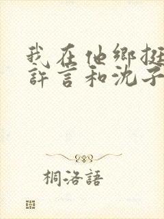 我在他乡挺好的许言和沈子畅结局