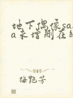 地下偶像sana未增删在线观看