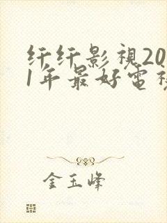 纤纤影视2021年最好电视剧功