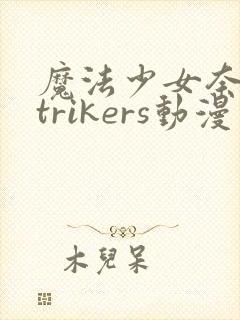 魔法少女奈叶strikers动漫