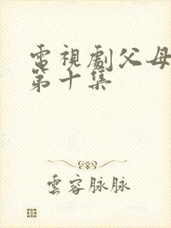 电视剧父母爱情第十集