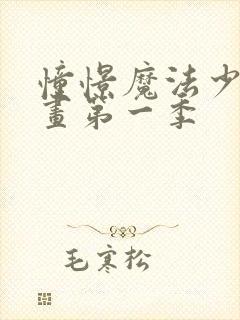 憧憬魔法少女动画第一季封面