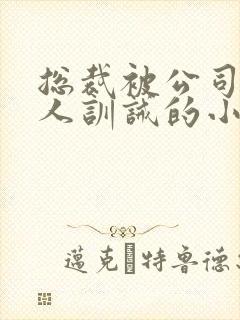 总裁被公司所有人训诫的小说