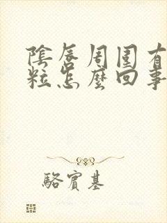 阴唇周围有小颗粒怎么回事封面