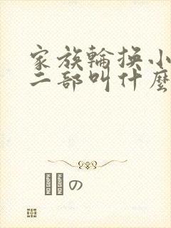 家族轮换小说第二部叫什么名字封面