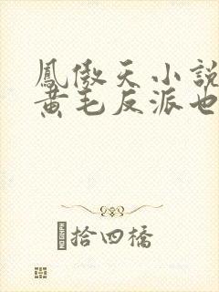 凤傲天小说里的黄毛反派也想幸福》