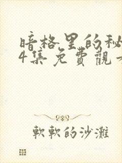 暗格里的秘密24集免费观看