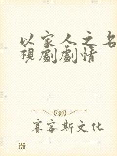 以家人之名 电视剧剧情