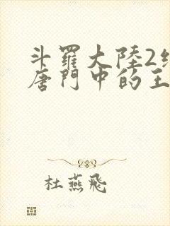 斗罗大陆2绝世唐门中的王冬封面