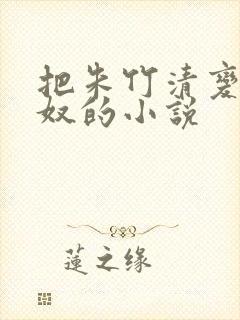 把朱竹清变成朱奴的小说