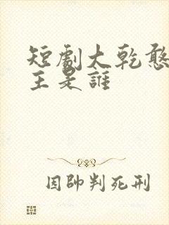 短剧大乾憨婿男主是谁