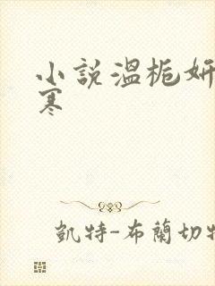 小说温栀妍沈霁寒