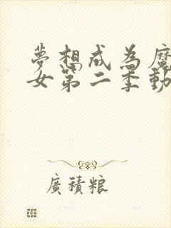 梦想成为魔法少女第二季动画免费观看封面