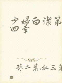 少妇白洁第二十四章