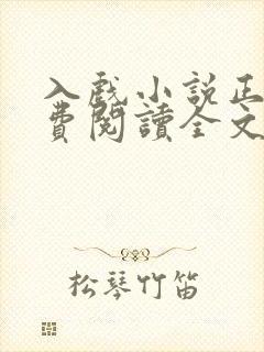 入戏小说正版免费阅读全文无弹窗