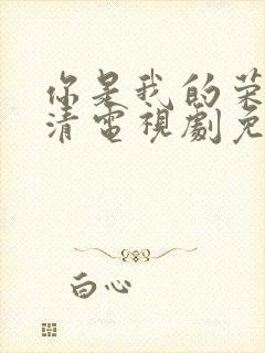 你是我的荣耀高清电视剧免费观看