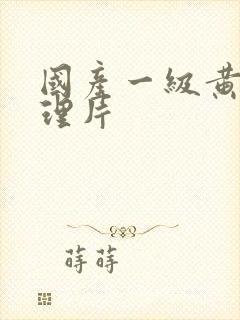 国产一级黄色伦理片封面