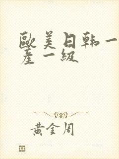 欧美日韩一级国产一级