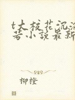 t大校花沉沦陈若小说最新章节更新内容