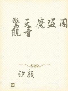 惊天魔盗团高清观看