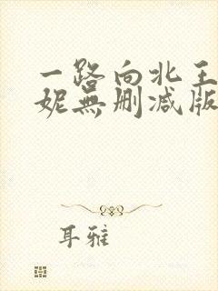 一路向北王李丹妮无删减版封面