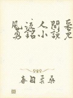 风流人间采薇陆勇铭小说免费阅读