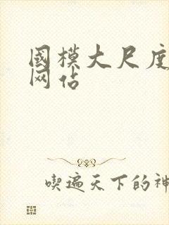 国模大尺度久久网站