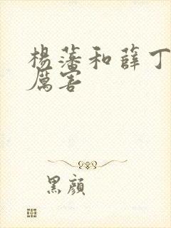 杨藩和薛丁山谁厉害