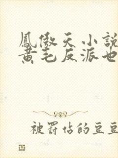 凤傲天小说里的黄毛反派也想幸福小