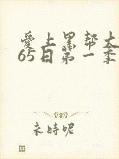 爱上黑帮大佬365日第一季