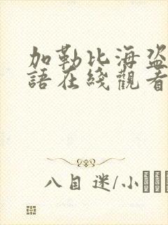 加勒比海盗4国语在线观看免费完整版