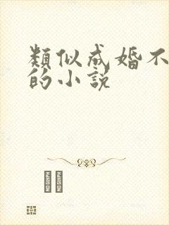类似成婚不圆房的小说封面