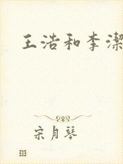 王浩和李洁小说