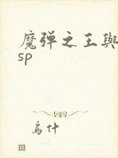 魔弹之王与战姬sp
