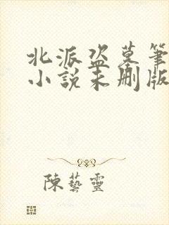 北派盗墓笔记 小说未删版全文封面