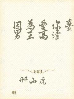 因为爱你台剧双男主高清封面