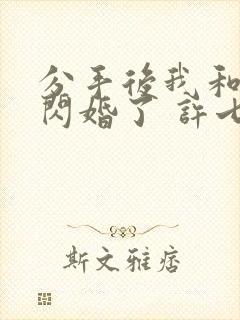 分手后我和首富闪婚了 许七安封面