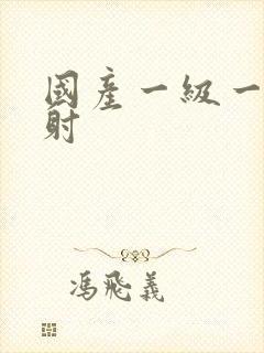 国产一级一片内射封面