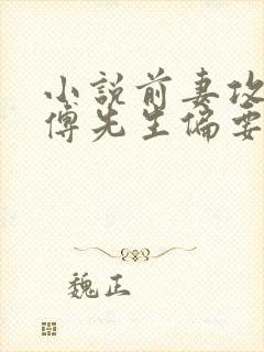 小说前妻攻略:傅先生偏要宠我txt