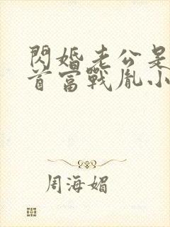 闪婚老公是千亿首富战胤小说