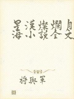 星汉灿烂月升沧海小说全文阅读